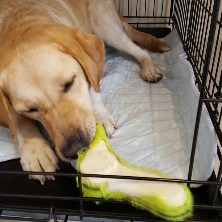 65085bff e6d3 4e44 b803 654cb3f7cd73