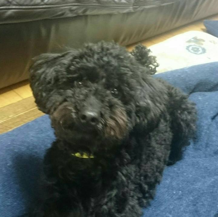 6508c5f9 5d92 45c6 a4ac afa94b62487e