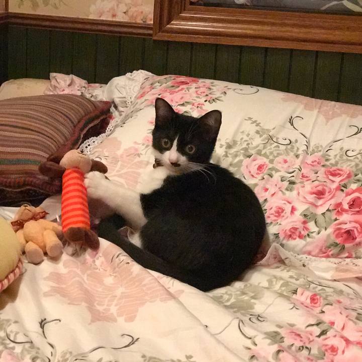 6508d07a 25ae 411a b832 215a4a9521f6