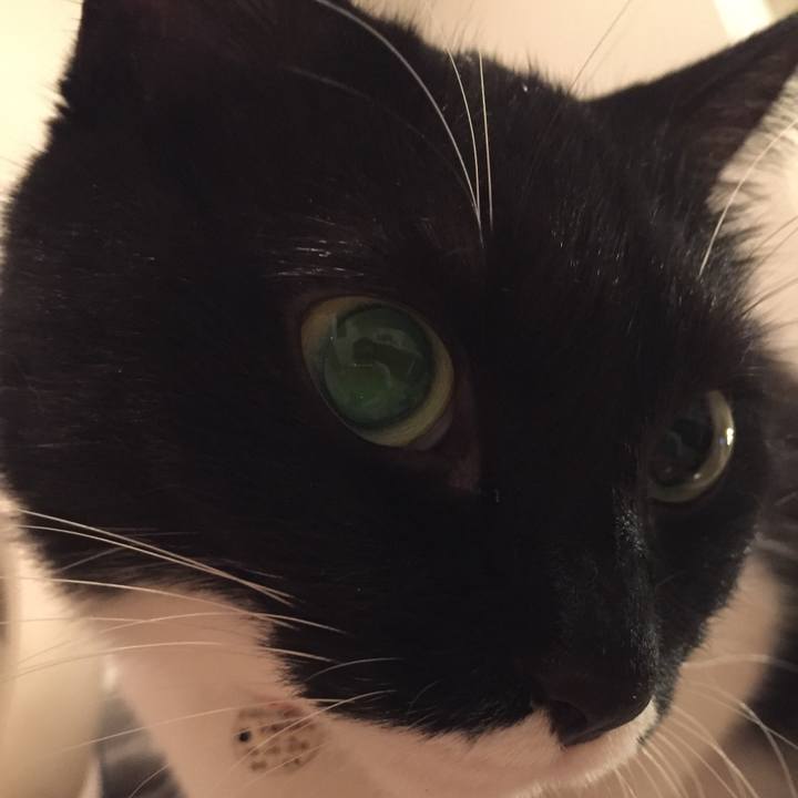 650a5c9f 9087 4198 81f1 02eb337f54ea