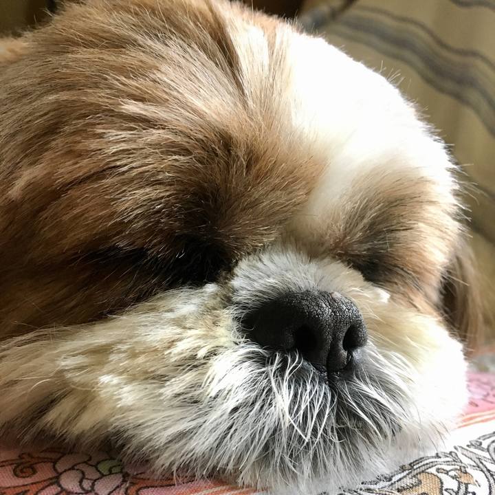 650aa189 960e 4293 a0aa f30ad95e7d32