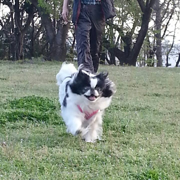 650ae553 300b 4c2f 9464 14adcd3ad9ba