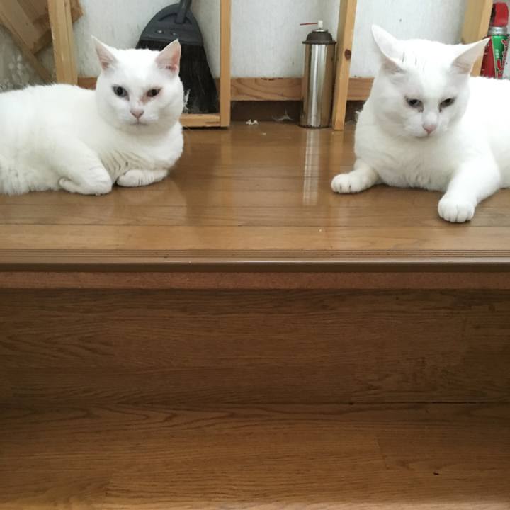 650af34e f6b3 4a5c 9ae2 cb3e784bdfab