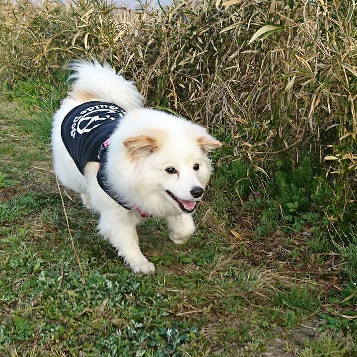 650b7fbd 1bbd 456a 9355 a58b27a3285b