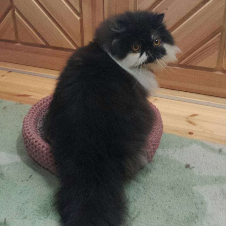 650bf15b 8976 413e 9fca 567f1338a817