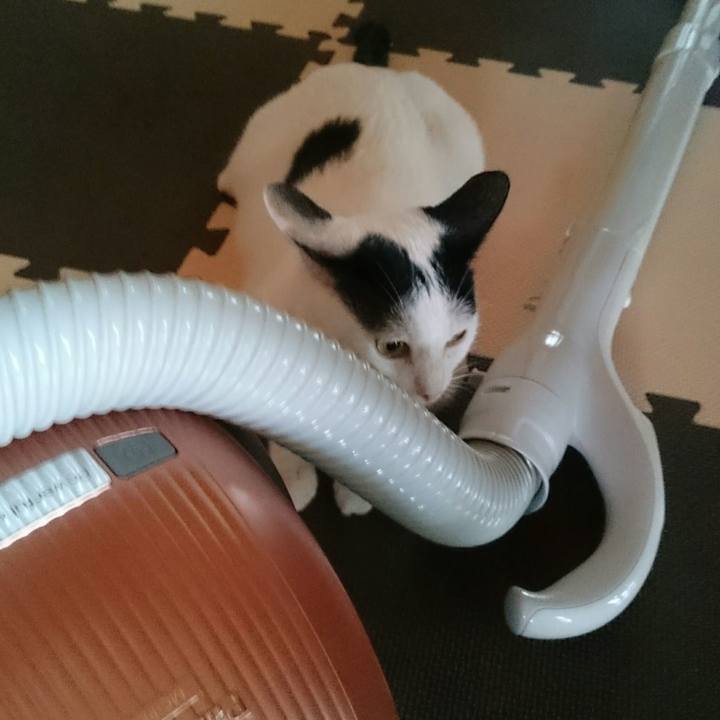 650c1f6d ae26 4eeb 9302 f8055588cf42