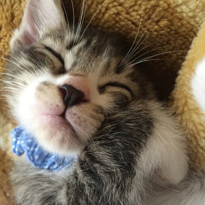 650d0e96 c29b 49da aeb0 c652e1689049