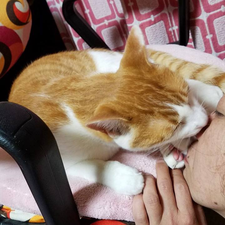 650d31f7 7992 4344 8ecf 958797f35c34