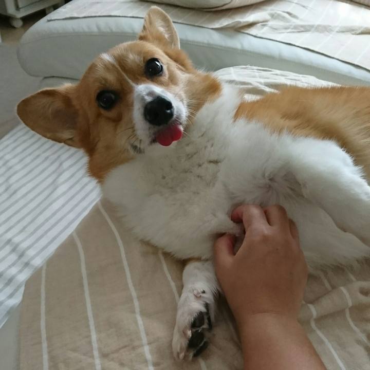 650d9206 8f21 407d be88 845ec3ec8e35