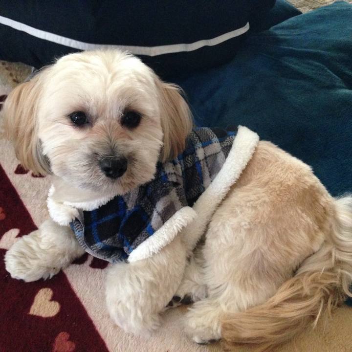 650dd8c1 8348 416c bb78 7a6873f43f1c