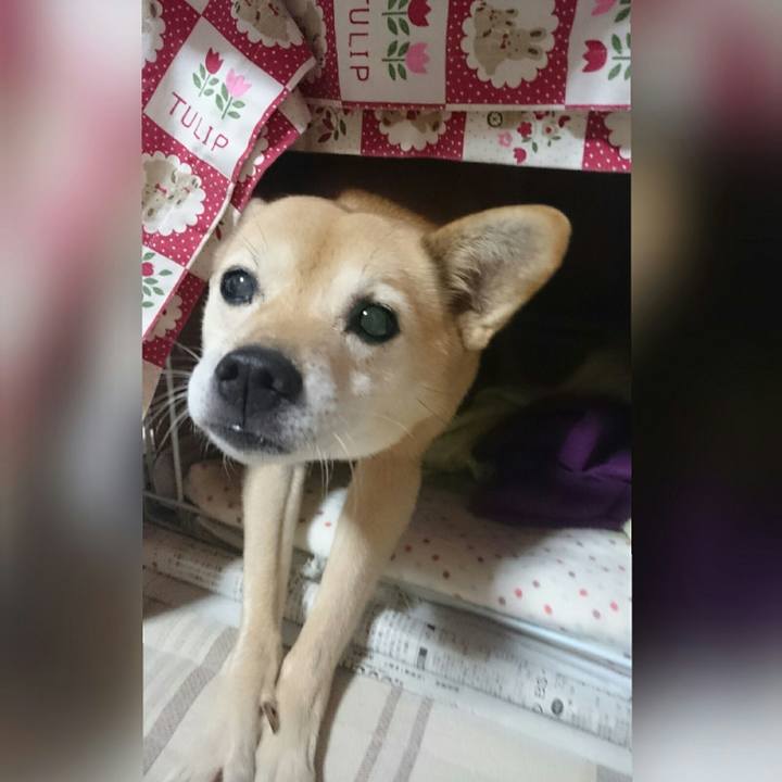 650e4033 e3bb 4ebe 8227 1f6b8eae5b31