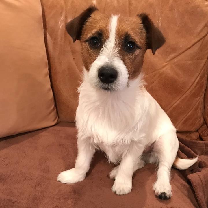 650eafc1 b0ee 4778 b850 27b8a651f0fe