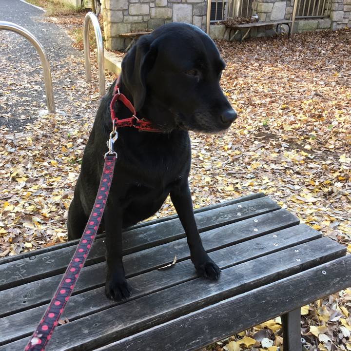 650ebe90 151e 4434 84c0 780dc5a2a4b6