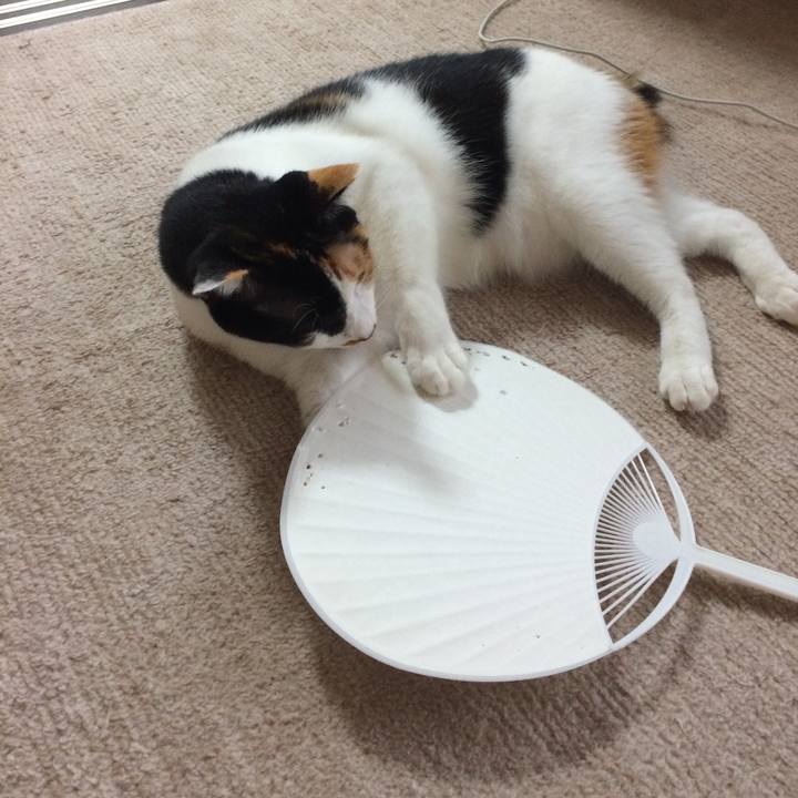 650ecc84 119c 4b98 b1ac 225a4a40bdcf