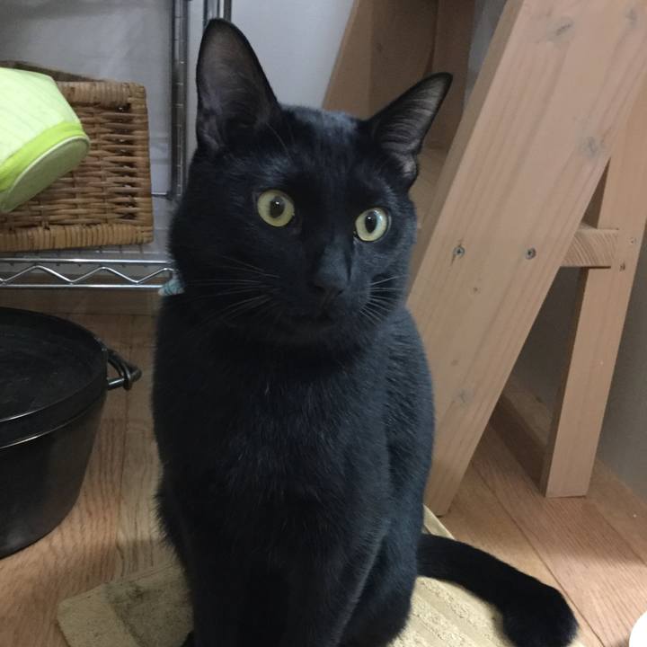 650fbac2 7b78 454c a2e6 80ec641bd497