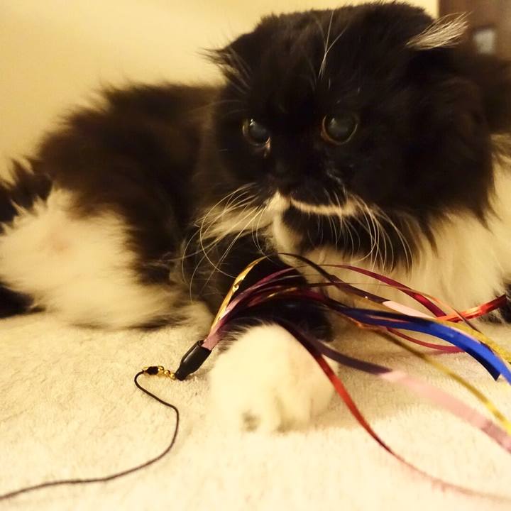 651036c3 6e33 48ec 990e 54fecb9a176f