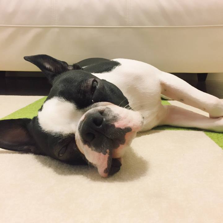 651063af 2d88 4d13 83e1 1acd82d5ef00