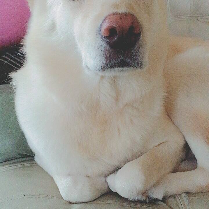 65109f00 4259 40d4 9f4c 0c08609dacad