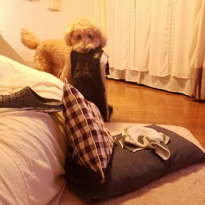 651116a9 1e1c 4f24 9ff2 aba2a5f44bee