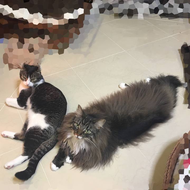 651130e8 8c18 423b 8848 12a5ce409475