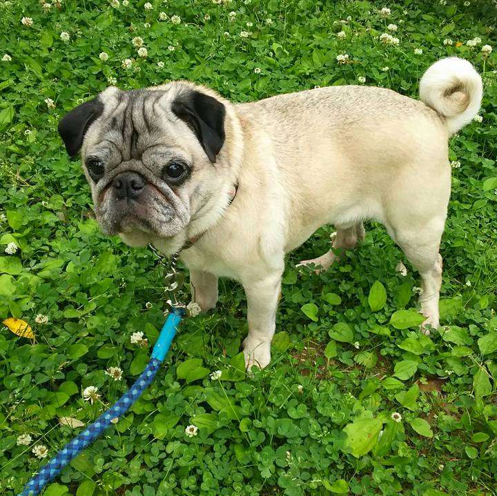 65118b79 a024 45b8 b9ed 25996fe656a8