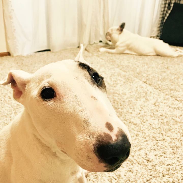 65126ec6 621e 4a15 8c8a abc0999f1b0c