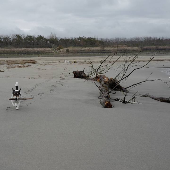 65129372 428a 4a00 bc55 e42a8a69398d