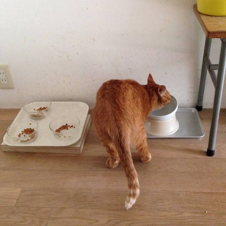 65134187 1b5a 4b43 a6ec a693ab4499d0