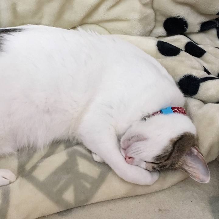 65135595 11b0 43a6 897c 1445d049f5e9