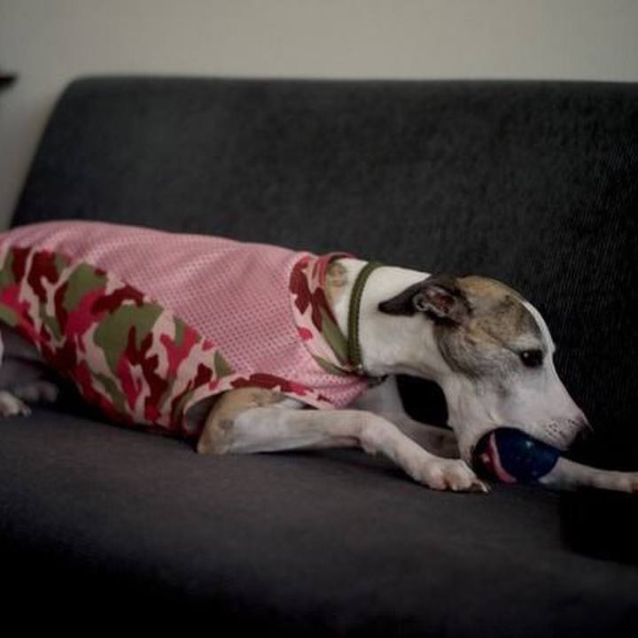 6513993d f35f 487f a212 a0362a00903c