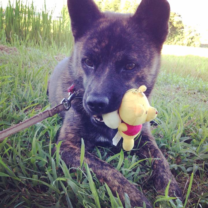 65145721 87f0 4e6c a304 ecd65975b560