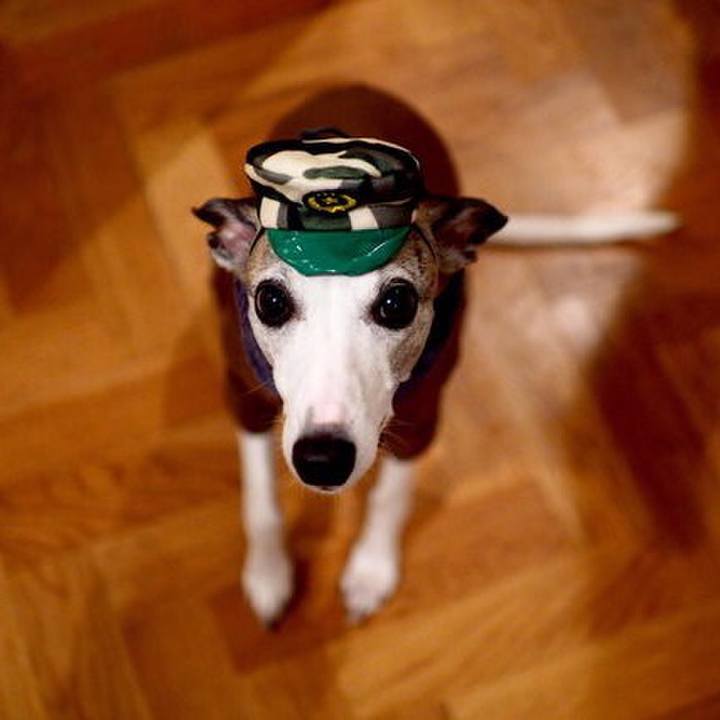 65145d5d b768 401c 8262 f75ed5890736