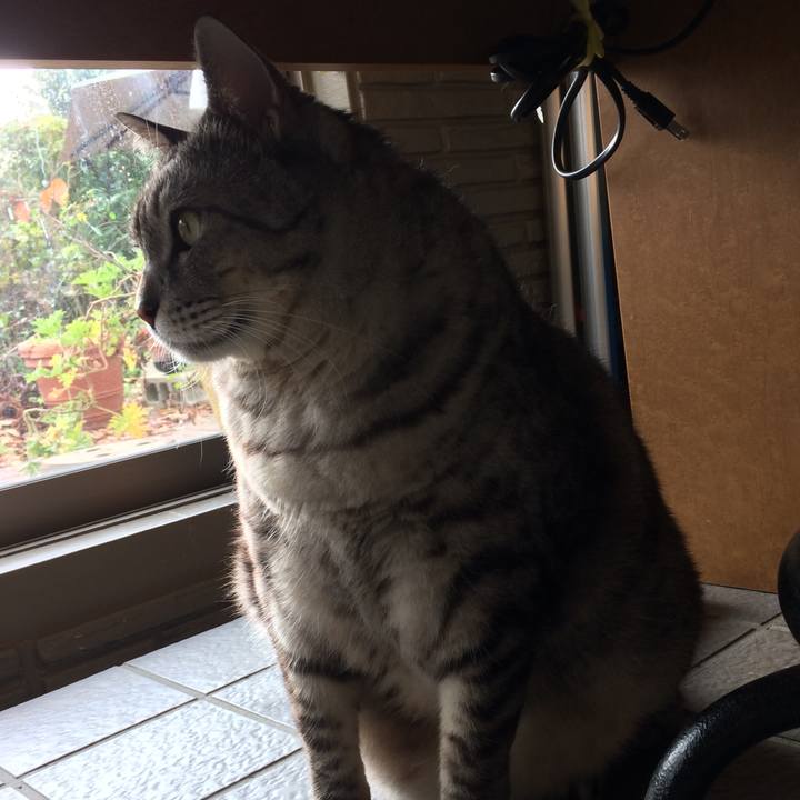 65151164 ed48 4b3d 8776 d7f3c0fc4386