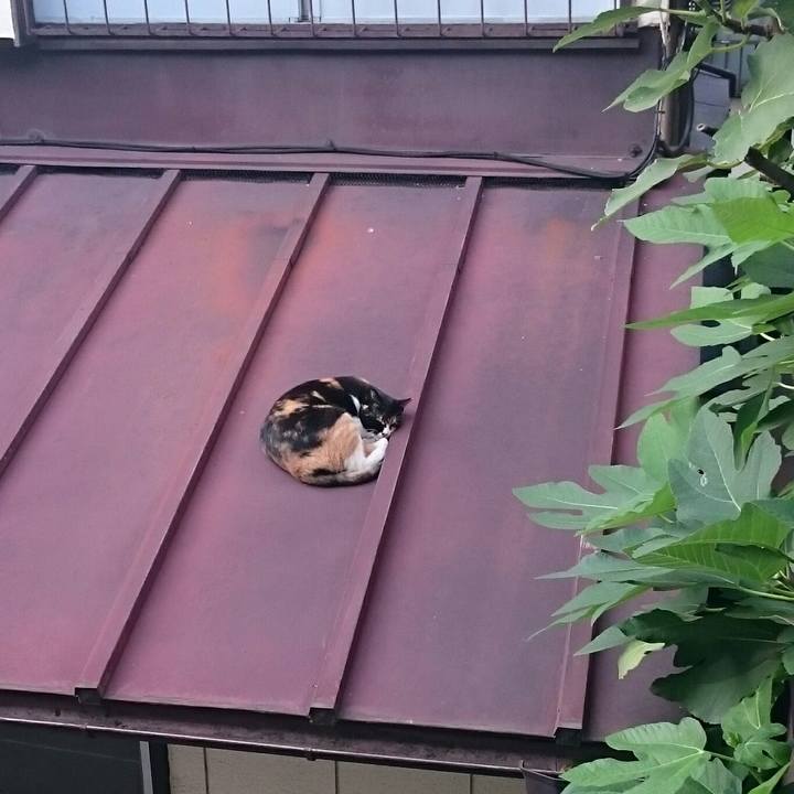 651537c5 5a71 47d1 8fd2 3470d7e396e1