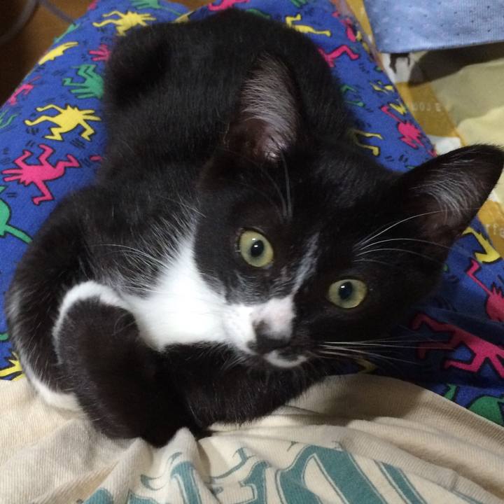 65160379 370c 490f 82c6 5a2983412fdf