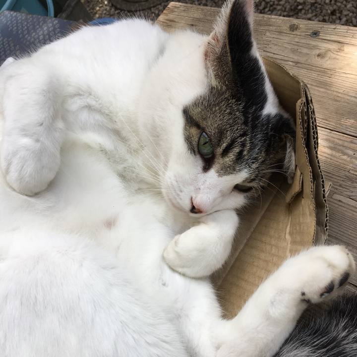 65167e8b 13ca 4a53 b1aa e0a4b941f35d