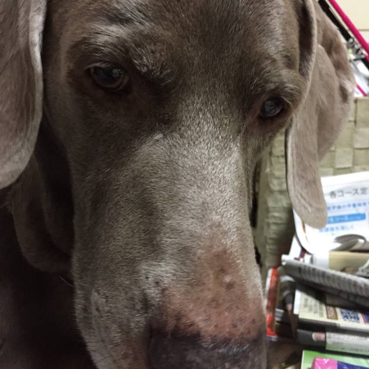 6516c173 315f 489b 93af a2a6463d085c