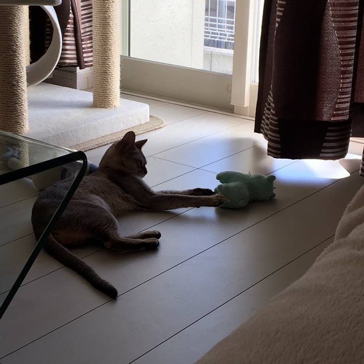 6516ea03 e1fa 485a 9e4f c047fdf7f4c4