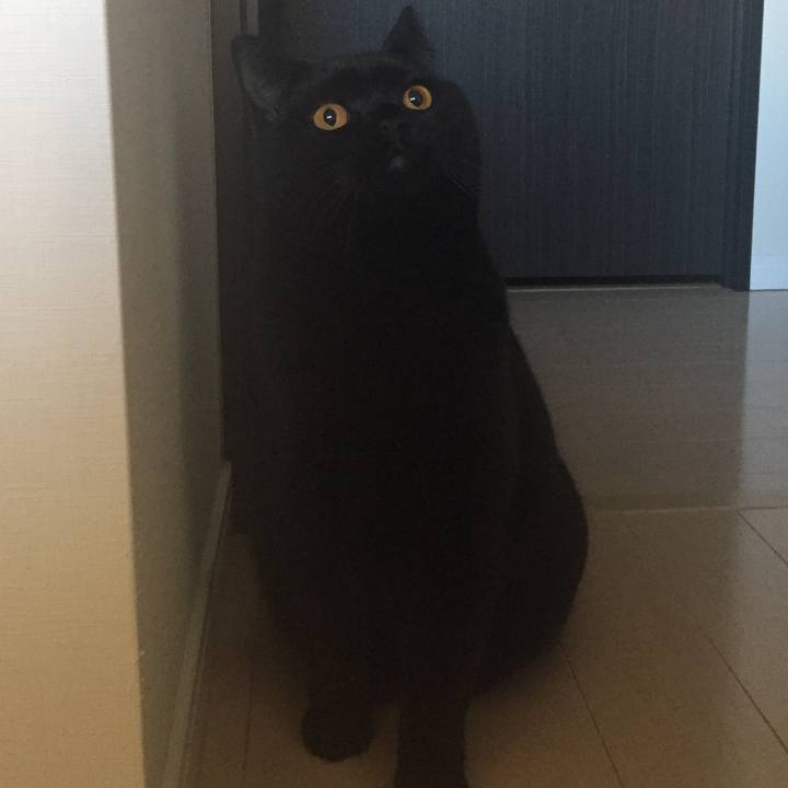 65176037 5b9b 4455 b347 579f8df024ff