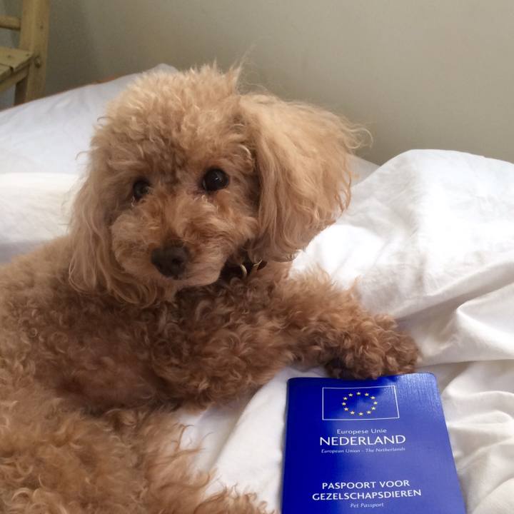 65177fdc 2c30 4371 94ed 5a5ab01f98f3