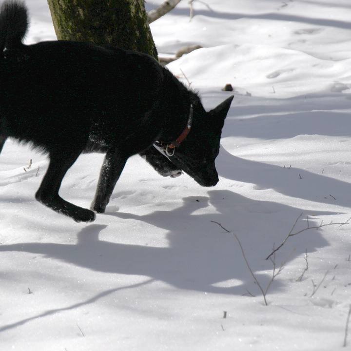 65178618 dcc5 4967 9a1b a6be8ec145e6