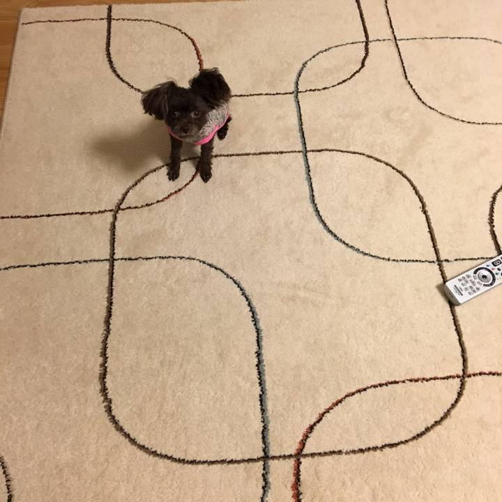 6517fac5 0c2a 4063 a7cf 04424091d363