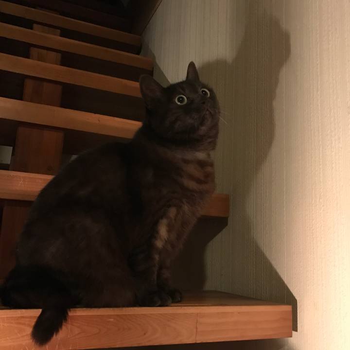 65180984 a512 4834 acbd 7d07691ec060