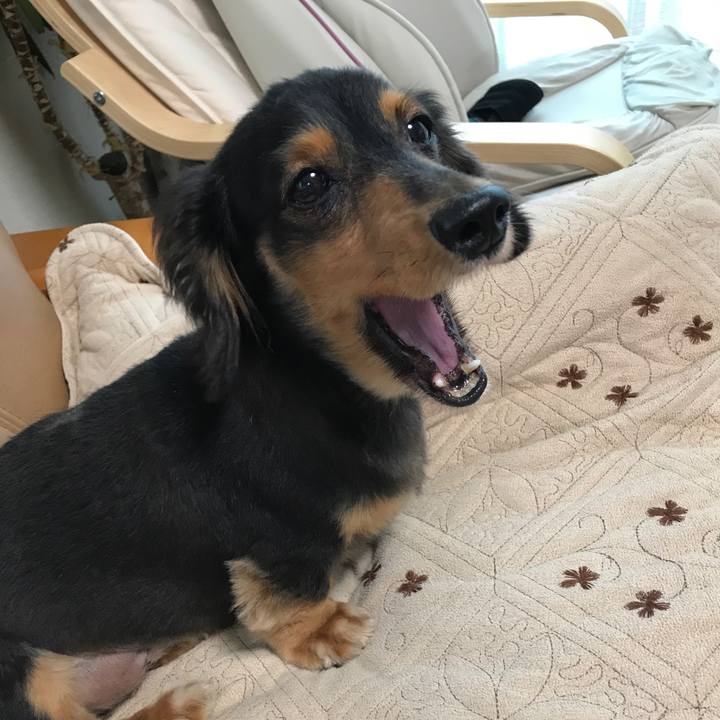 65199898 5b73 4eeb a930 f0cde7032916