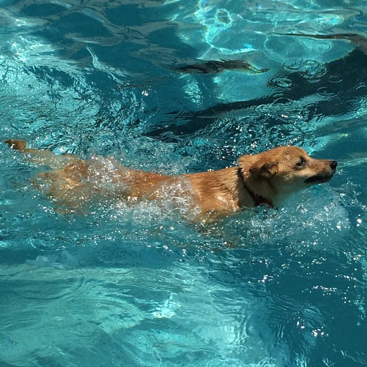 6519bdcd 7b98 41fd be75 ac61a9238c20