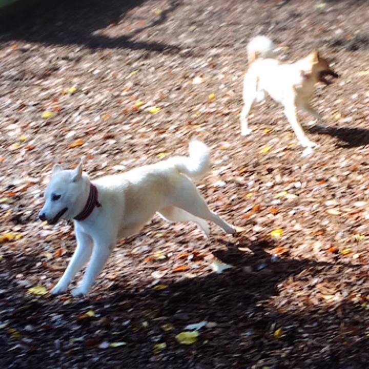 6519c41d 37c7 456d b8f7 2d29f20ebc53