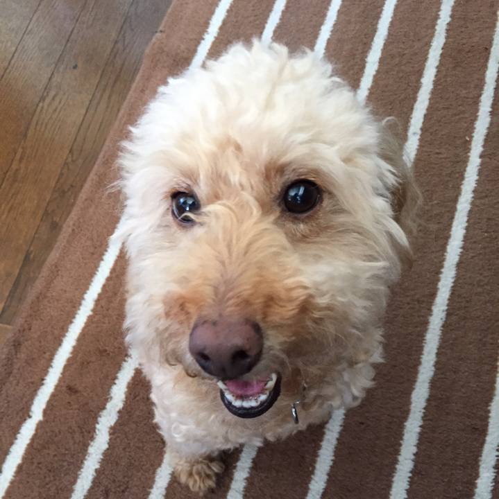 6519d9e6 3363 471b a7a6 3c7754722d73