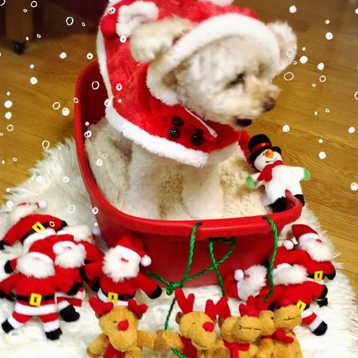 651a97d5 ef92 4e68 a8f9 0533c77fa346