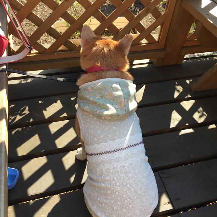 651b0654 a240 45c6 bb19 8b26774d1938