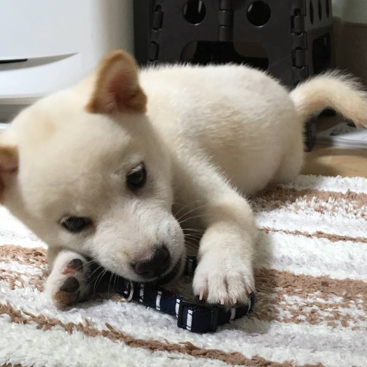 651b3039 4f96 4040 a9d4 81e1b72c55d2